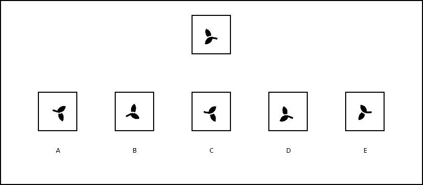 Spiegelen oefenen