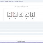 PI cognitive exclusie