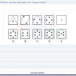 PI cognitive figuurreeksen