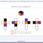 Selection lab kubussen